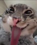 1779997263786.webp