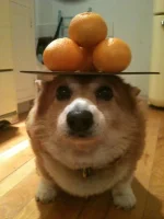 1780004191065.webp