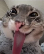 1778818421509.webp